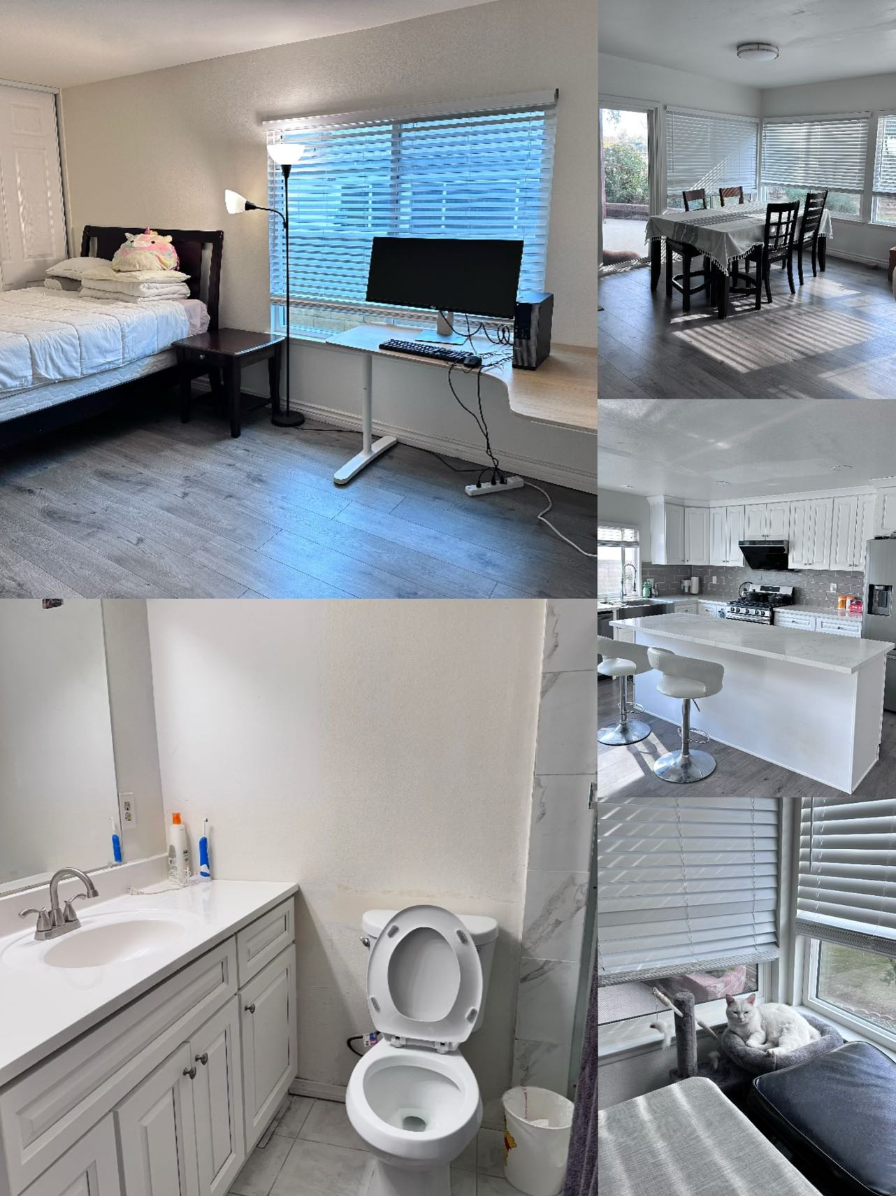 房屋出租 图 1