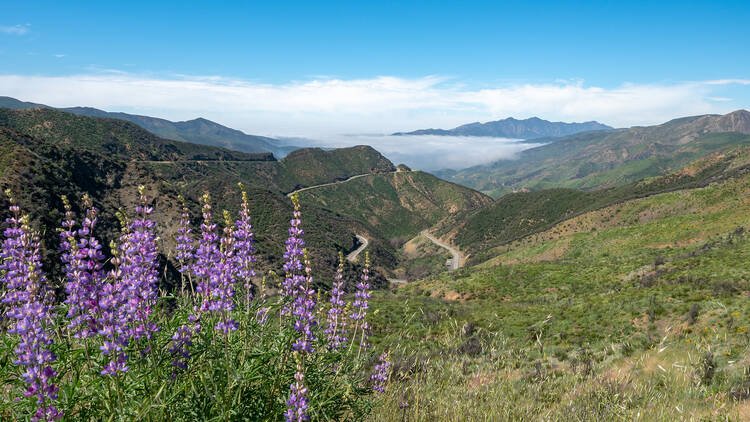 洛杉矶附近很棒的露营地点 图 4