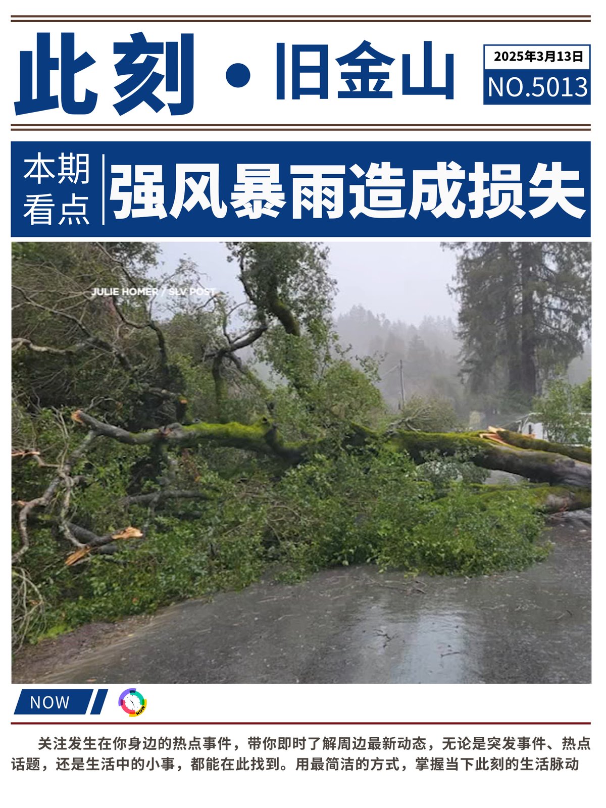 🌧💨【湾区暴风雨来袭!强风暴雨席卷整个湾区】⚡🌊 图 1