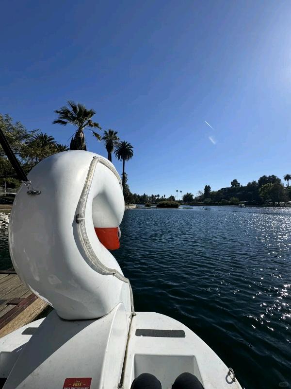 “洛杉矶速来!!天鹅船划进油画里的夏天🦢💫” 图 3