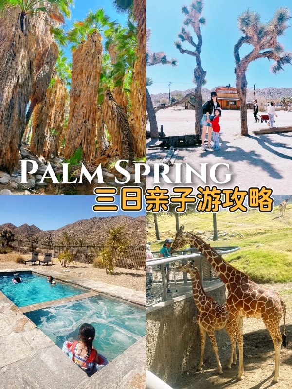 LA近郊好去处🌵棕榈泉!太适合亲子游啦! 图 2