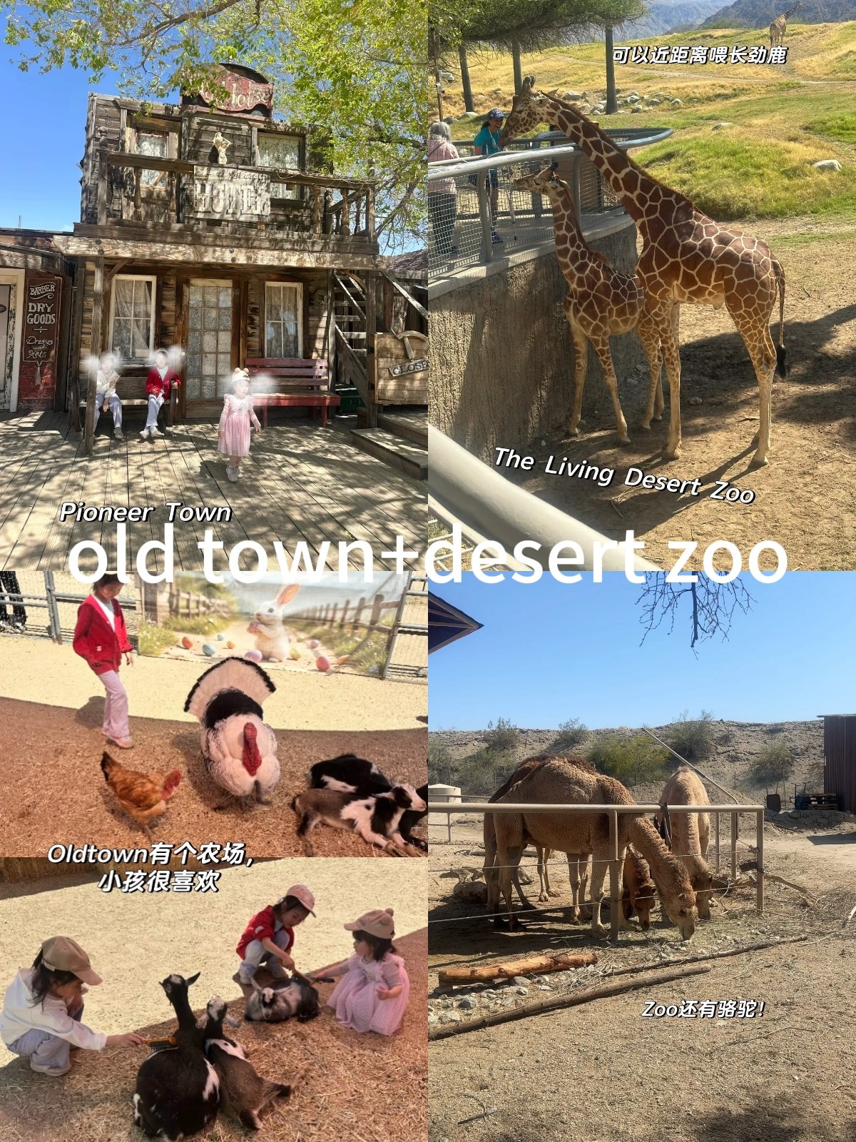 LA近郊好去处🌵棕榈泉!太适合亲子游啦! 图 5
