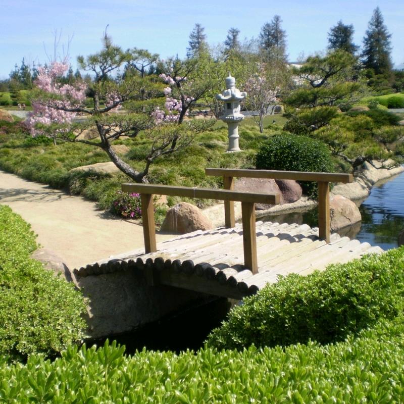 隐于都市的禅意秘境——The Japanese Gard 图 5