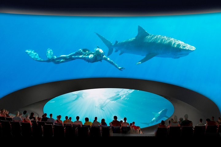 洛杉矶必打卡——太平洋水族馆 图 5