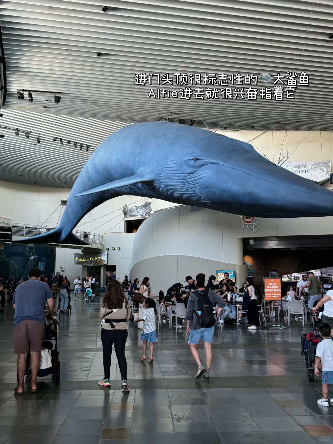 洛杉矶遛娃🦈可以玩水摸小鲨鱼的水族馆 图 2