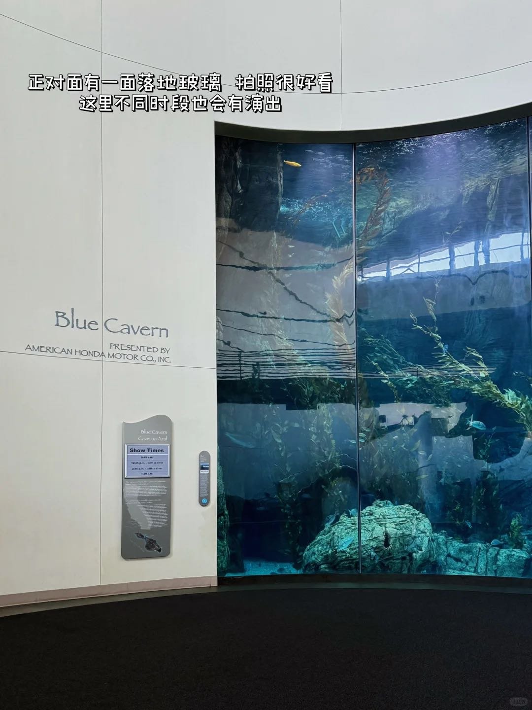 洛杉矶遛娃🦈可以玩水摸小鲨鱼的水族馆 图 3