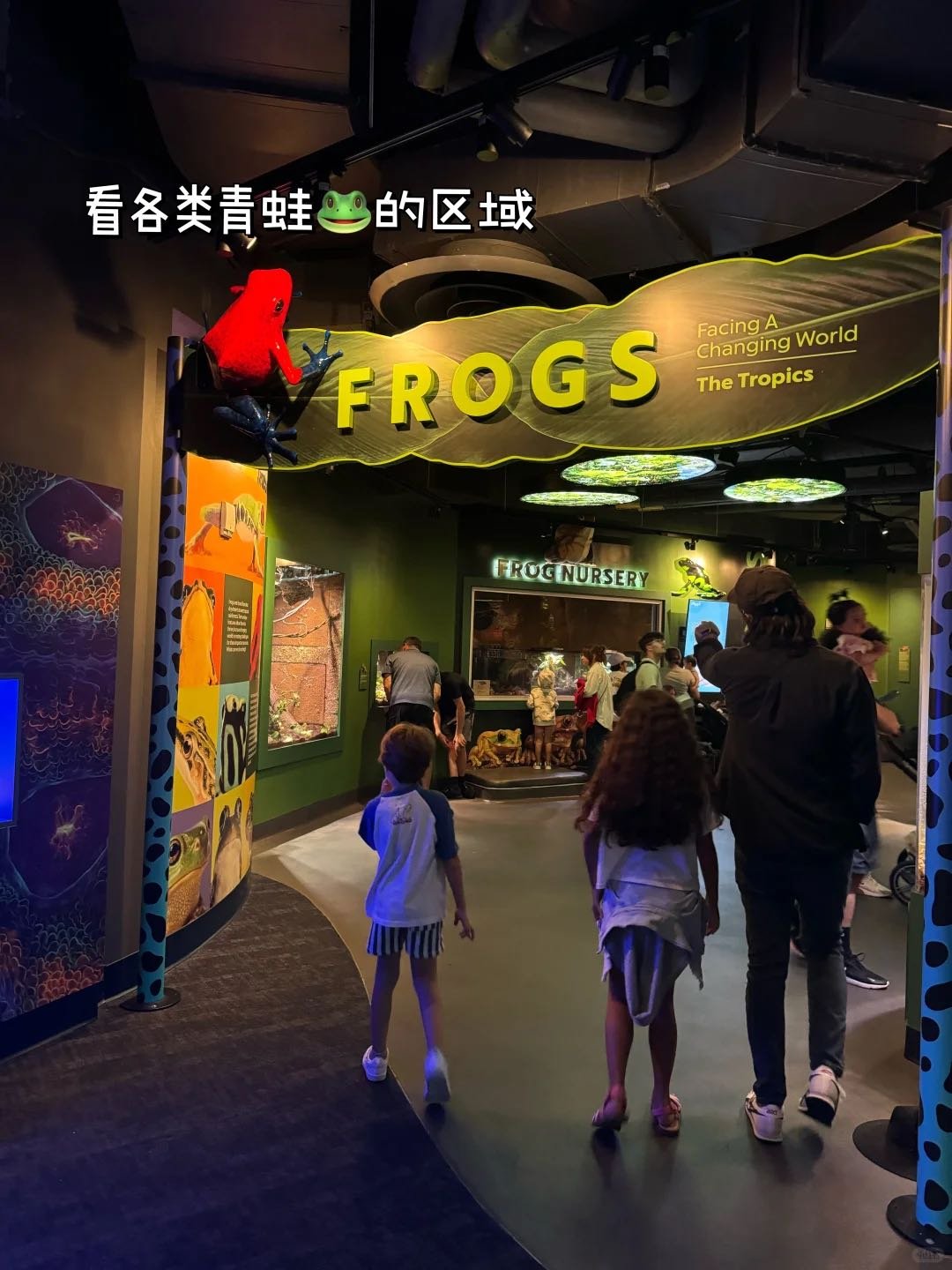 洛杉矶遛娃🦈可以玩水摸小鲨鱼的水族馆 图 4