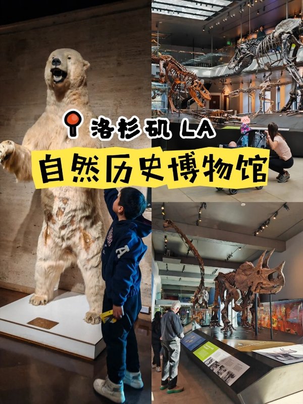 洛杉矶亲子游必打卡|NHM自然历史博物馆恐龙狂欢指南! 图 2