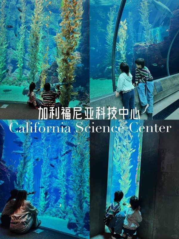 洛杉矶遛娃宝藏地——加州科技中心 图 2