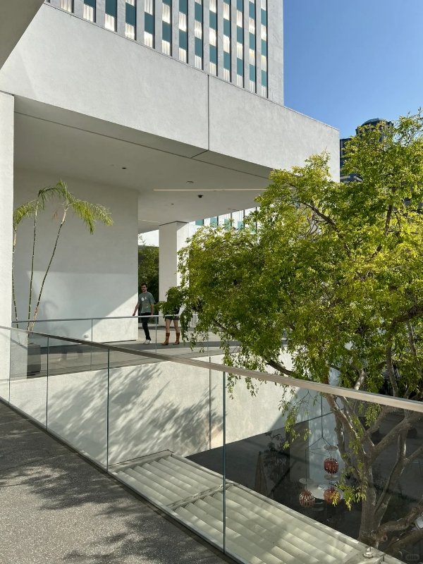 洛杉矶艺术宝藏——哈默博物馆 图 2