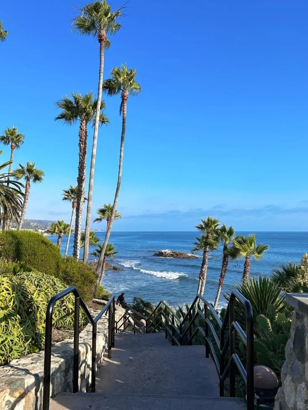 🌊【Laguna Beach|LA私藏“果冻海滩”曝光 图 2