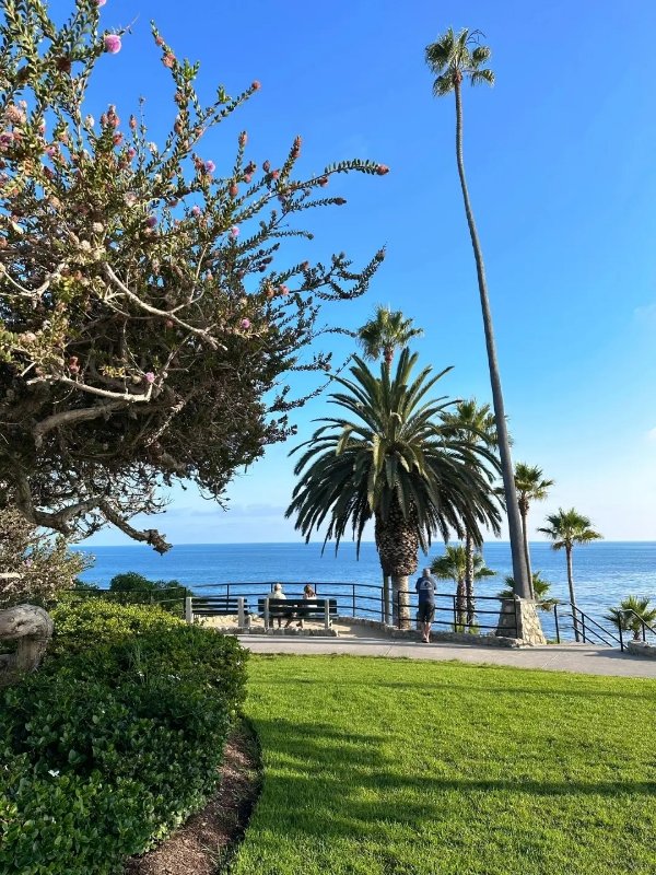 🌊【Laguna Beach|LA私藏“果冻海滩”曝光 图 5