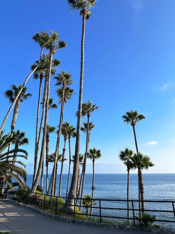 🌊【Laguna Beach|LA私藏“果冻海滩”曝光 图 4
