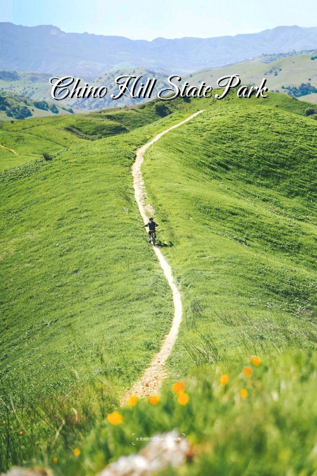 LA|南加小瑞士Chino Hills 🌿闯入绿野仙踪 图 2