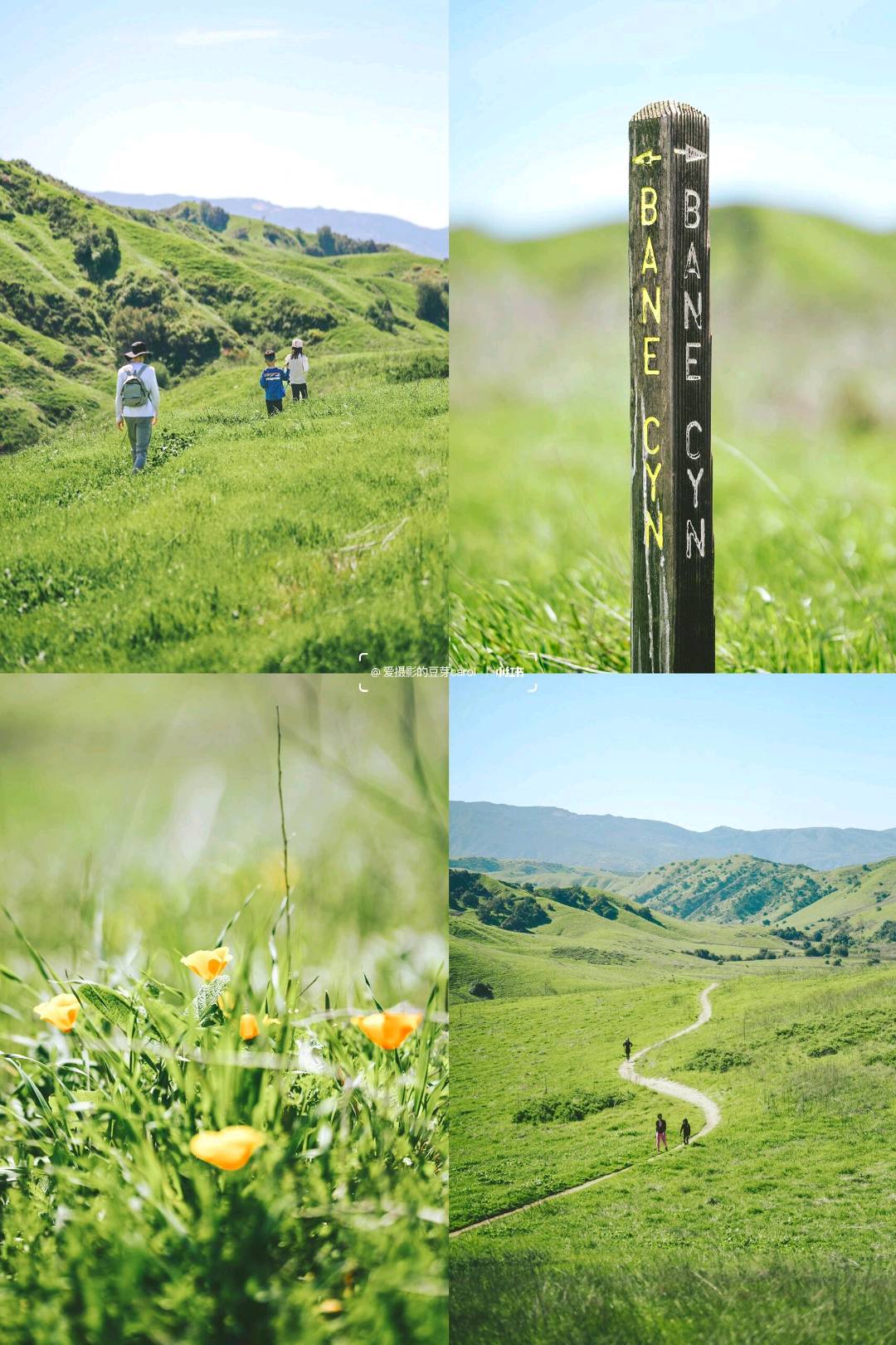 LA|南加小瑞士Chino Hills 🌿闯入绿野仙踪 图 3