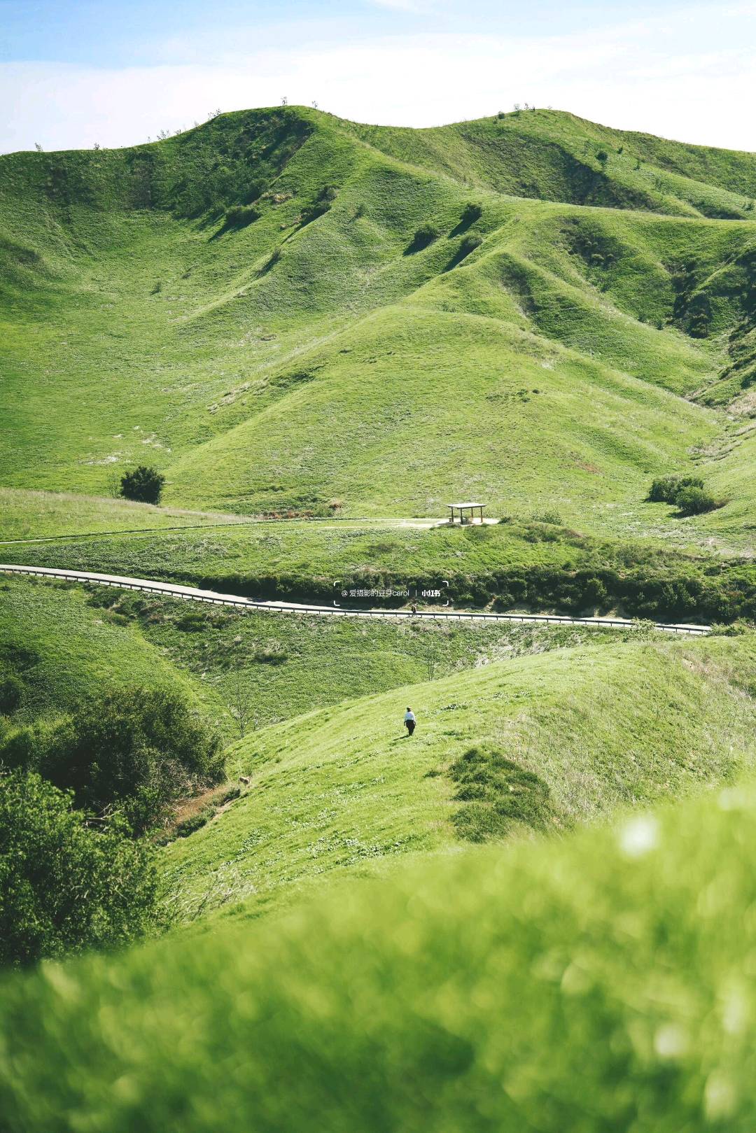 LA|南加小瑞士Chino Hills 🌿闯入绿野仙踪 图 4
