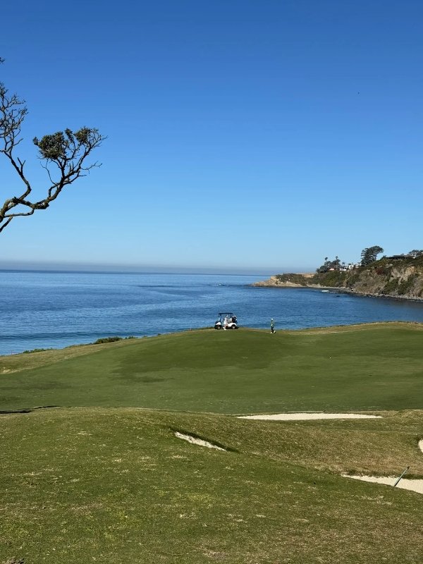 🏌♀LA球场打卡|Monarch Beach Gol 图 3