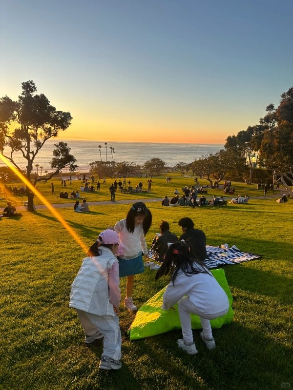 🌿尔湾亲子游推荐|松弛系野餐秘境 🧺🌅 图 2