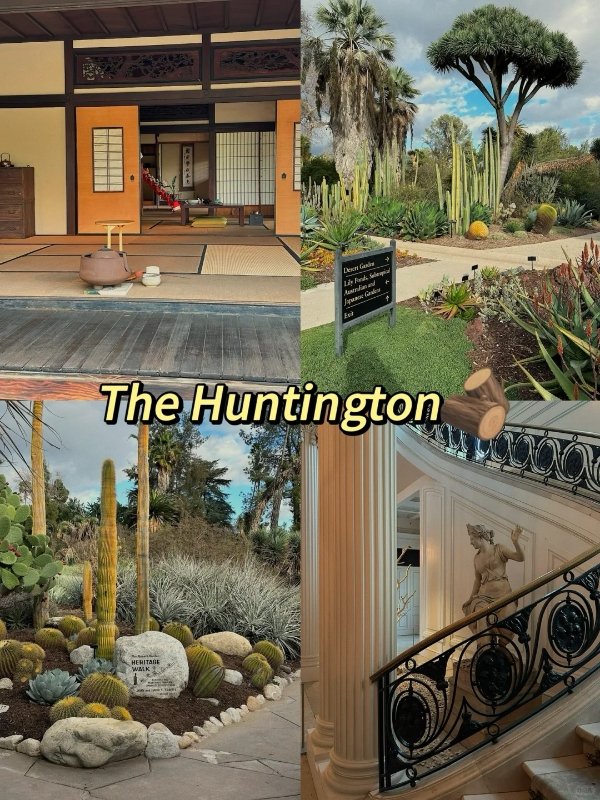 【洛杉矶秘境|The Huntington植物园·三合一 图 2