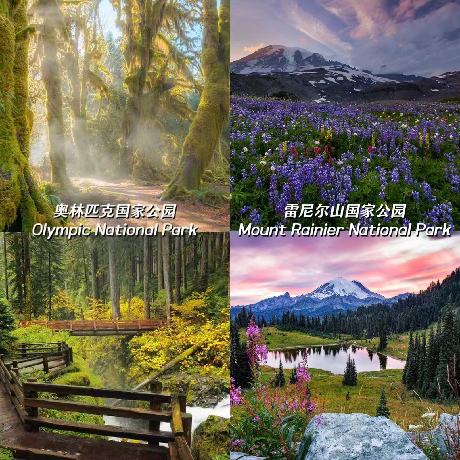 📍西雅图夏天去哪儿玩?6个小众神仙地! 图 2