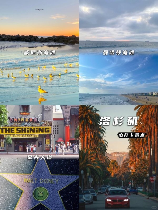 杉矶收获完美的旅行体验! 图 2