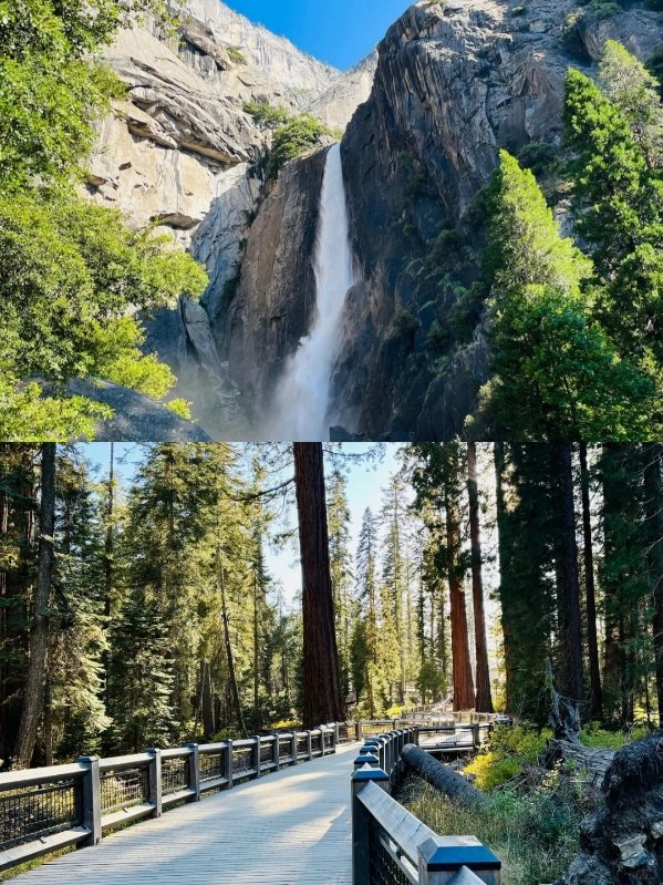 Summer California|加州暑假这样玩! 图 4
