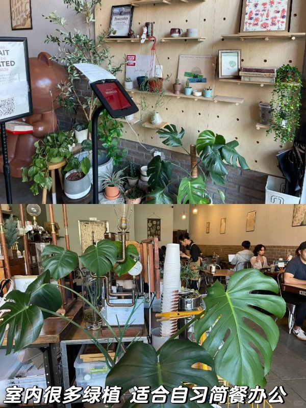 罗兰岗宝藏🪴ins风Brunch,一口爱上! 图 4