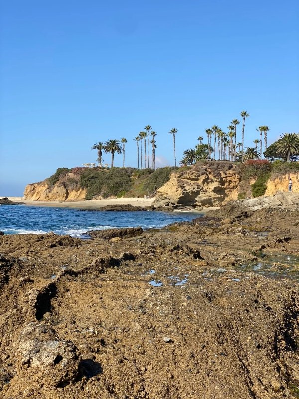 遛娃宝藏地 | Aliso Beach绝了🌊 图 2