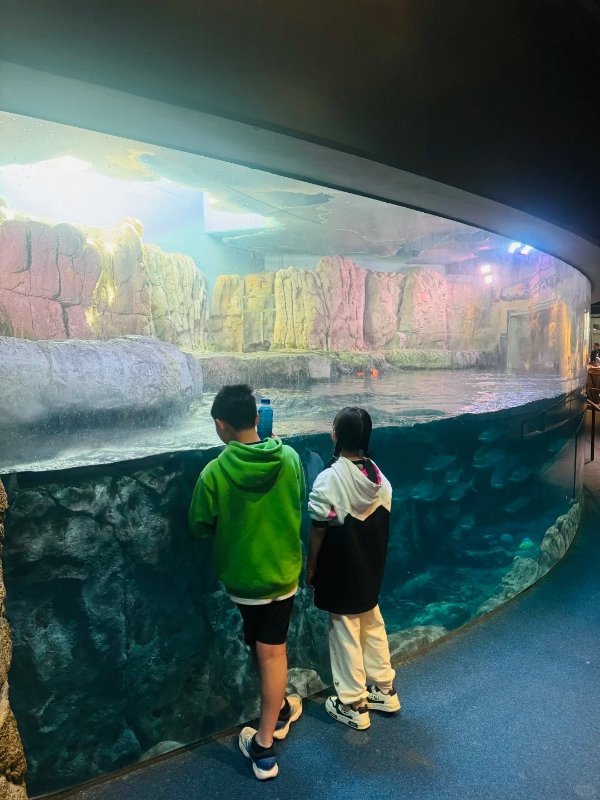 洛杉矶遛娃天堂🌊太平洋水族馆必冲! 图 3