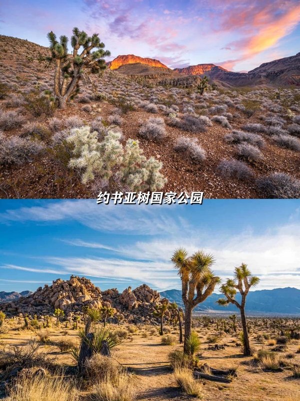 🌵LA周边2h直达!闯入现实版《沙丘》的周末秘境 图 2