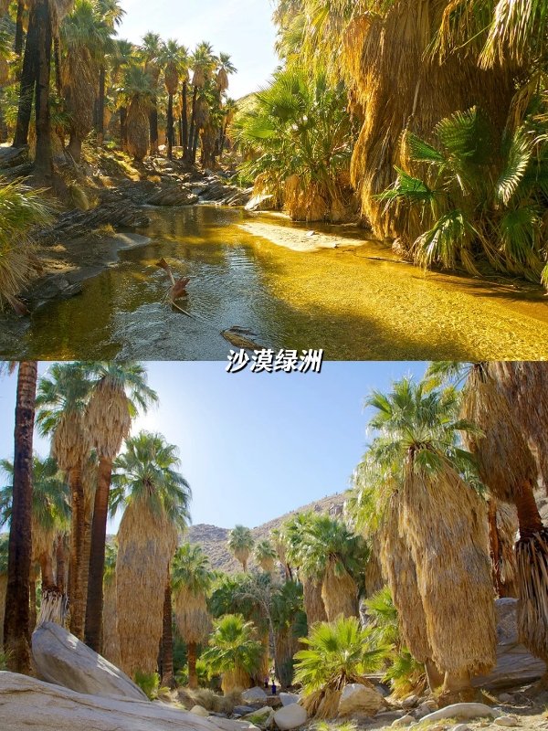 🌵LA周边2h直达!闯入现实版《沙丘》的周末秘境 图 4