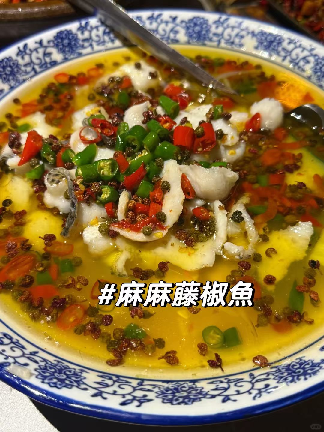 🇺🇸🌶️川山甲 | 川菜館,真心不踩雷‼️ 图 4