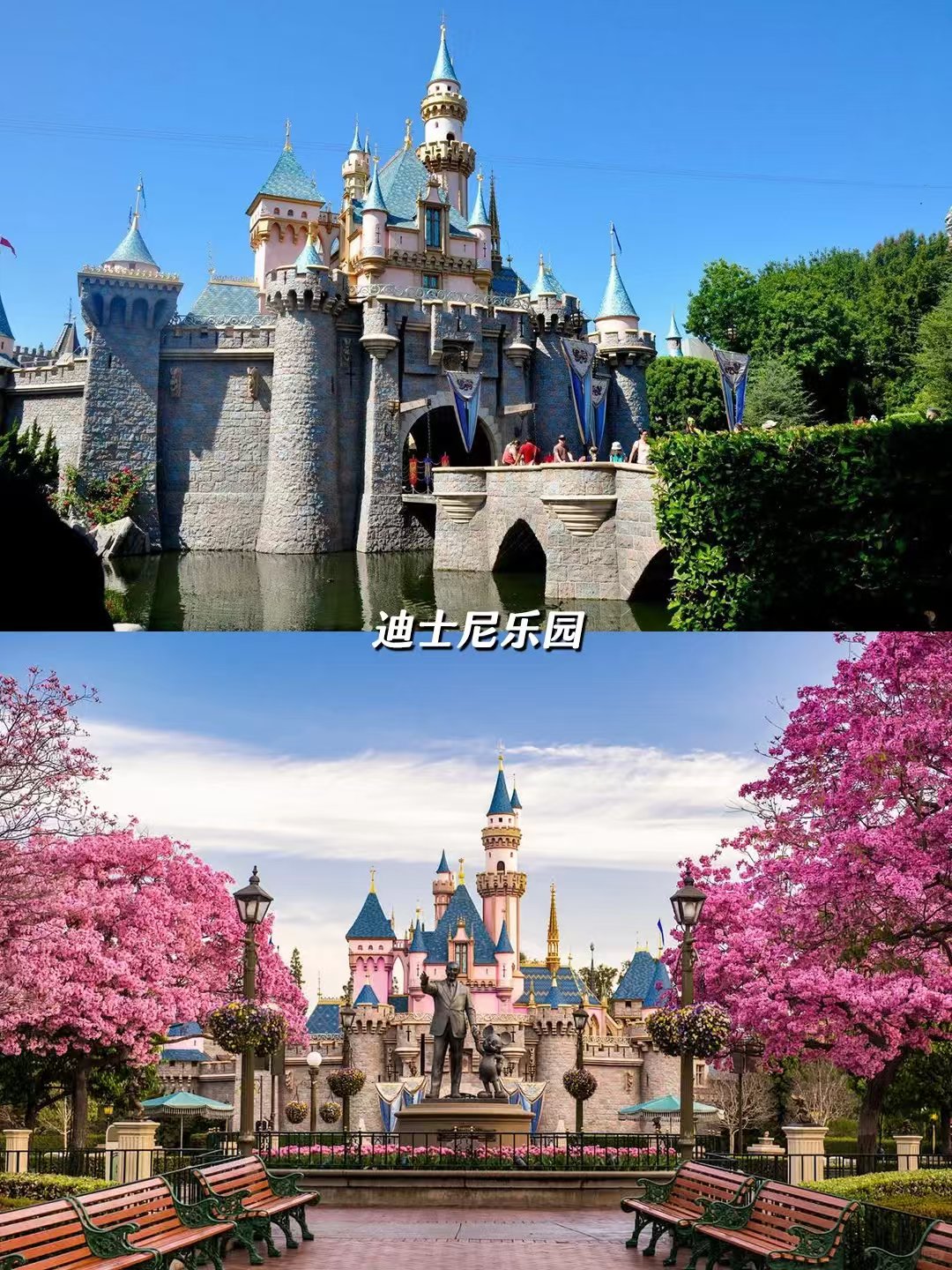 LA初体验 | 必打卡景点大放送💥 图 3