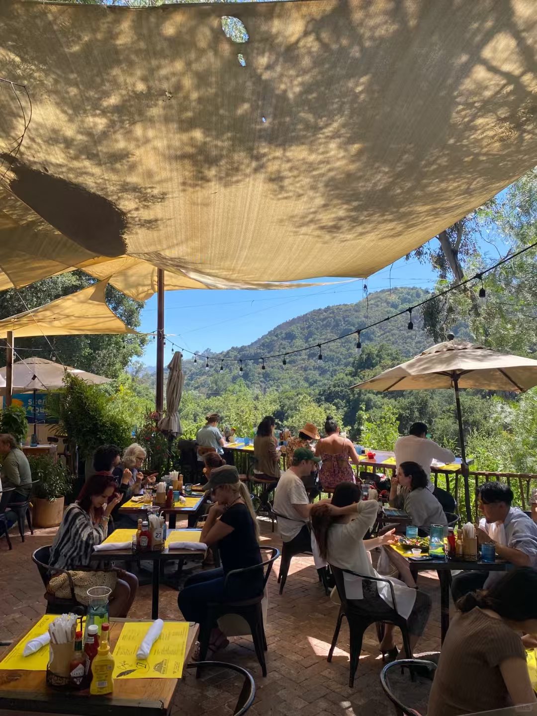 洛杉矶藏在山里的乌托邦Cafe 图 1