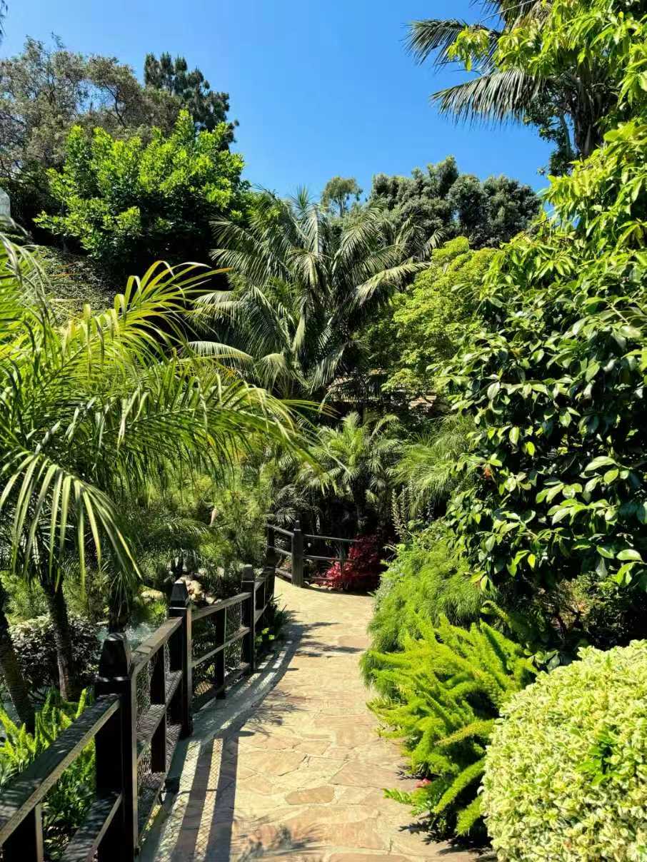 🌿洛杉矶隐世秘境|乔布斯生前最爱的冥想花园 图 3