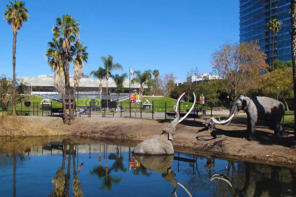 🦖洛杉矶遛娃新思路!恐龙主题亲子活动合集来啦~🌴 图 2