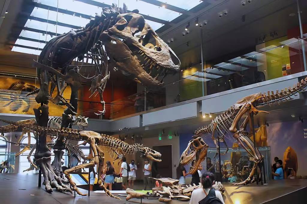 🦖洛杉矶遛娃新思路!恐龙主题亲子活动合集来啦~🌴 图 4
