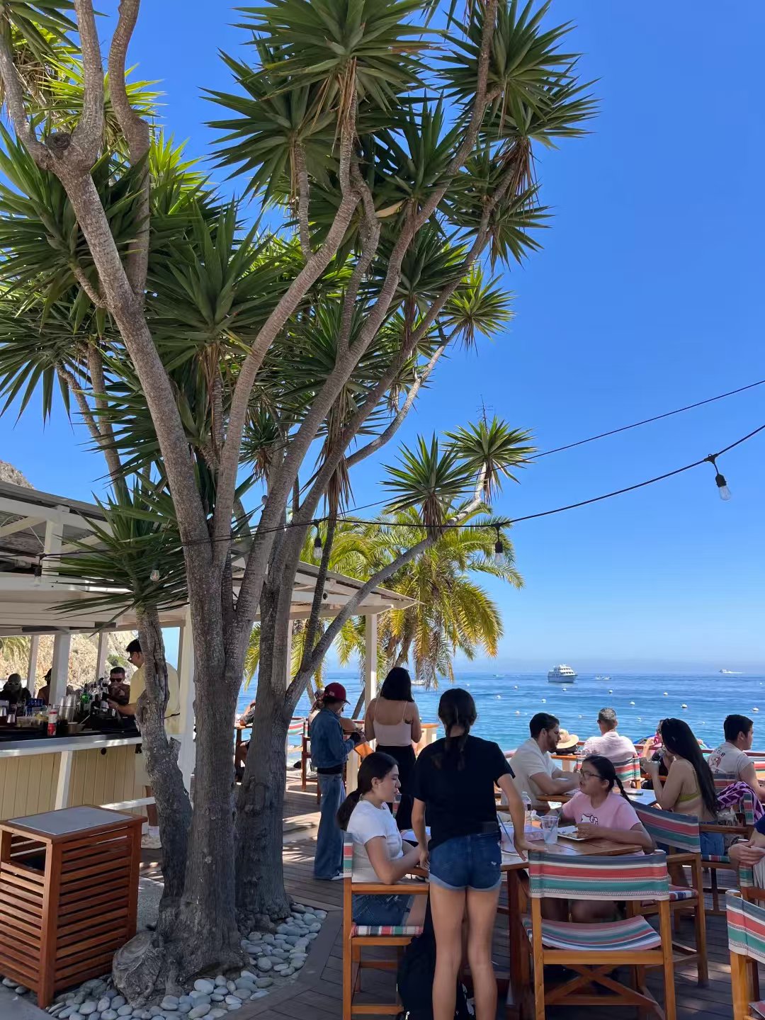 🌊LA周边游天花板!Catalina Island一 图 3