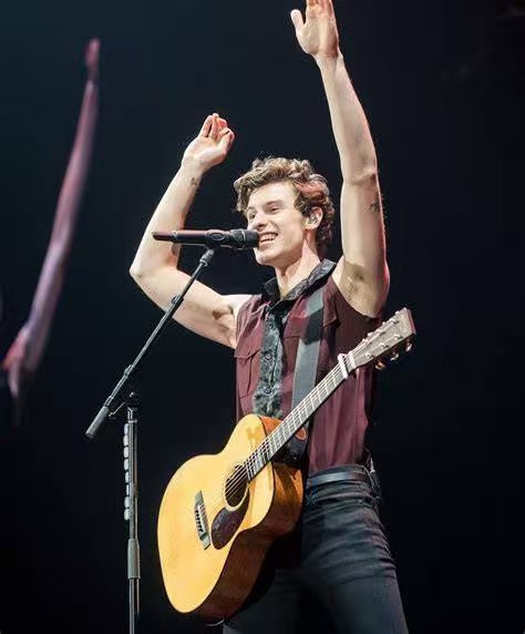 🌟青春歌声炸裂北美!Shawn Mendes 2025 图 2