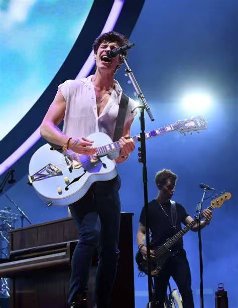 🌟青春歌声炸裂北美!Shawn Mendes 2025 图 4