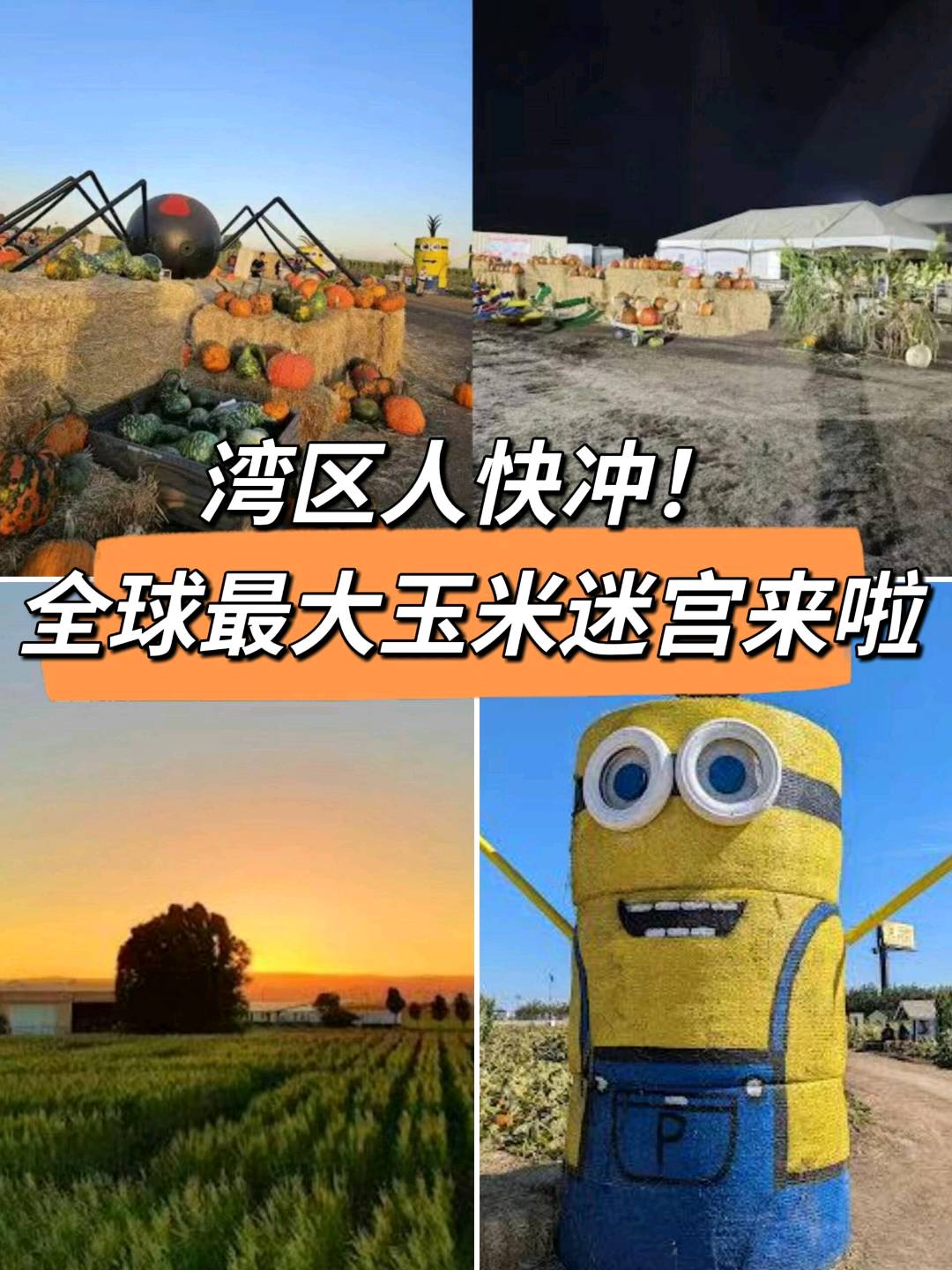 本周末！全球最大的玉米迷宫来啦~