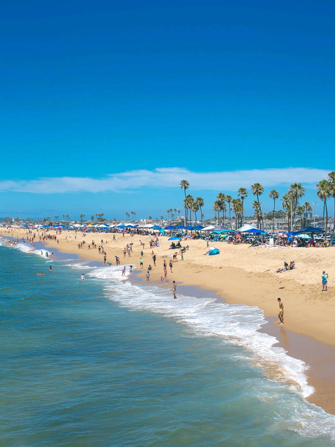 Newport Beach | 阳光明媚 海风轻拂 图 2