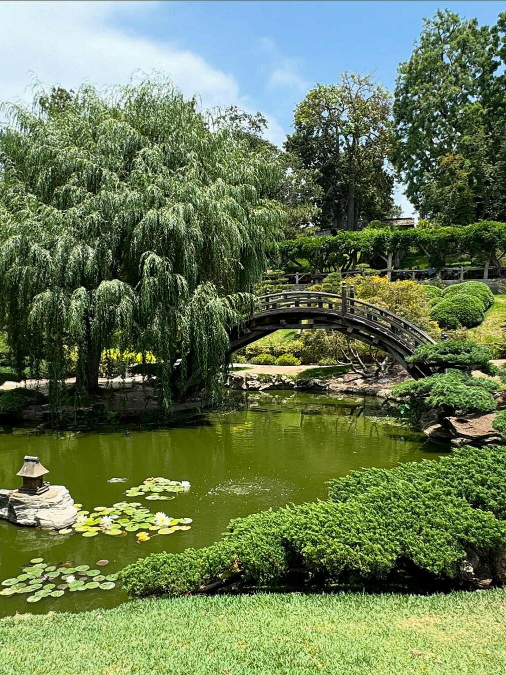 洛杉矶!适合放松自己的四个治愈公园🌿 图 2