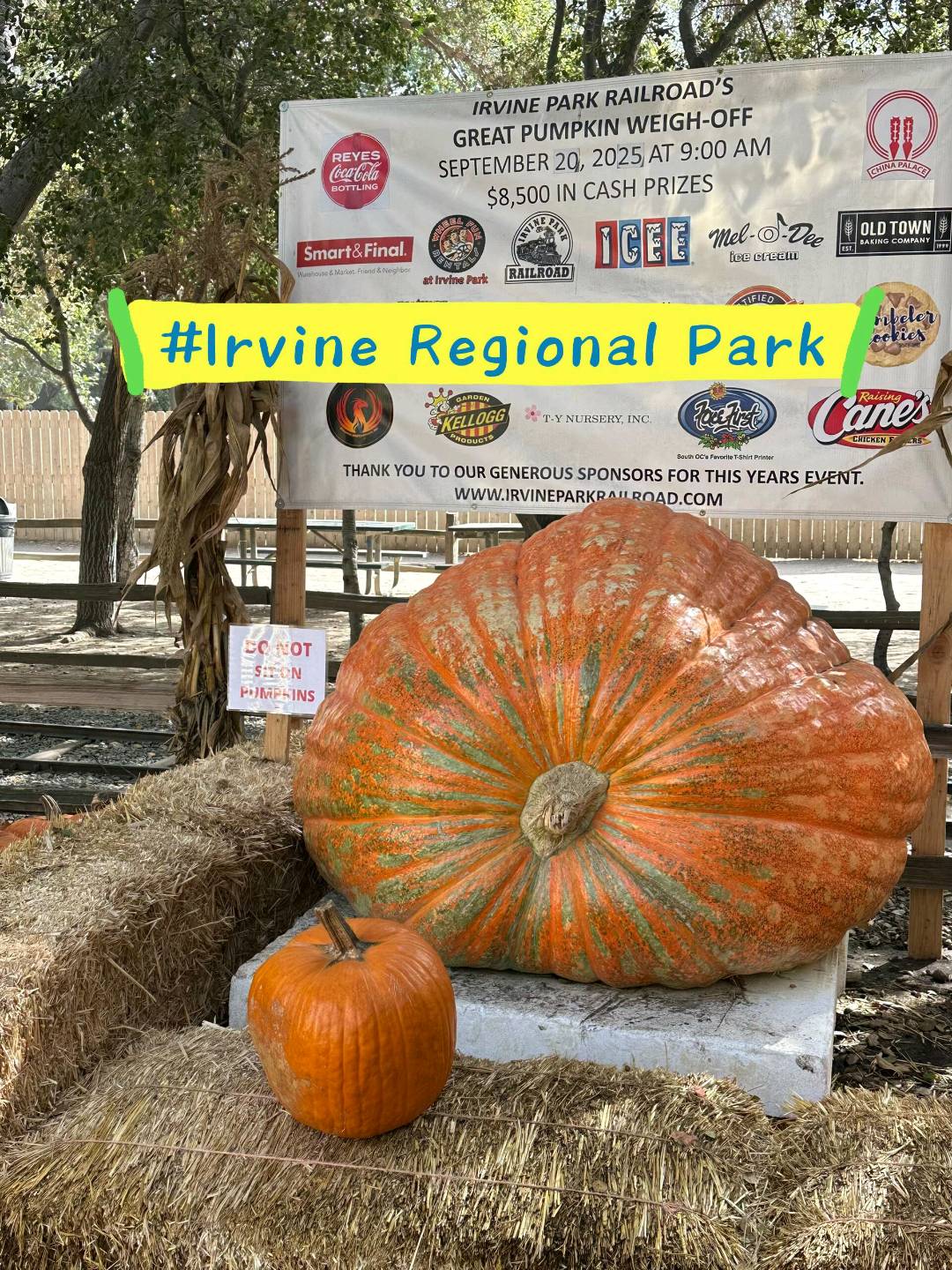 🇺🇸尔湾南瓜节🎃- Irvine Regional 图 1