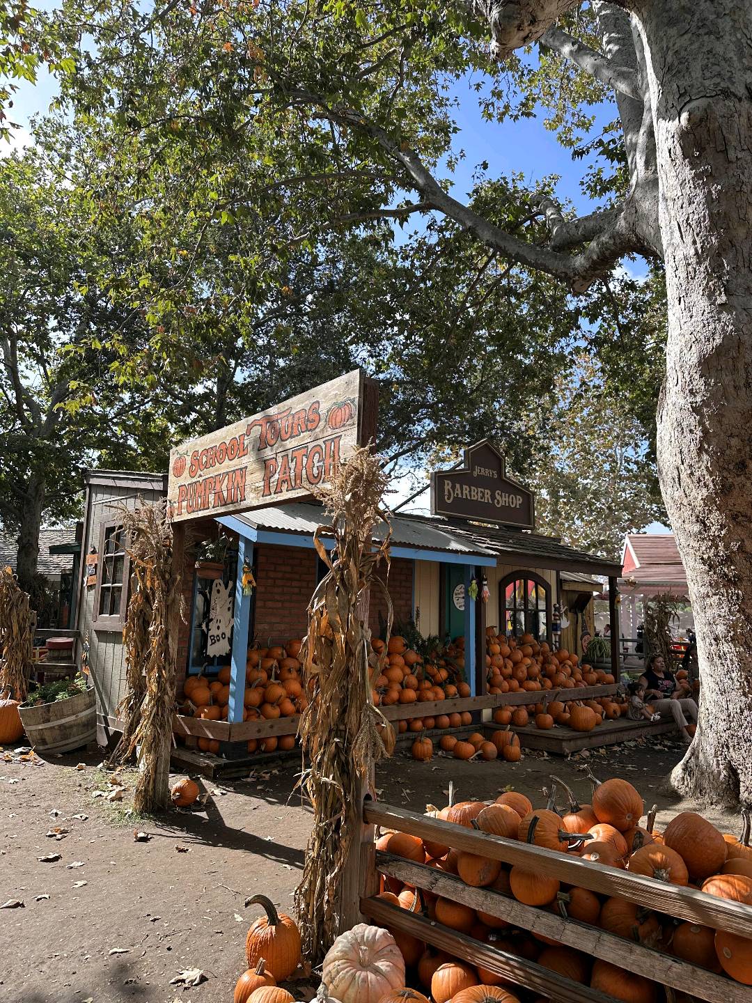 🇺🇸尔湾南瓜节🎃- Irvine Regional 图 2