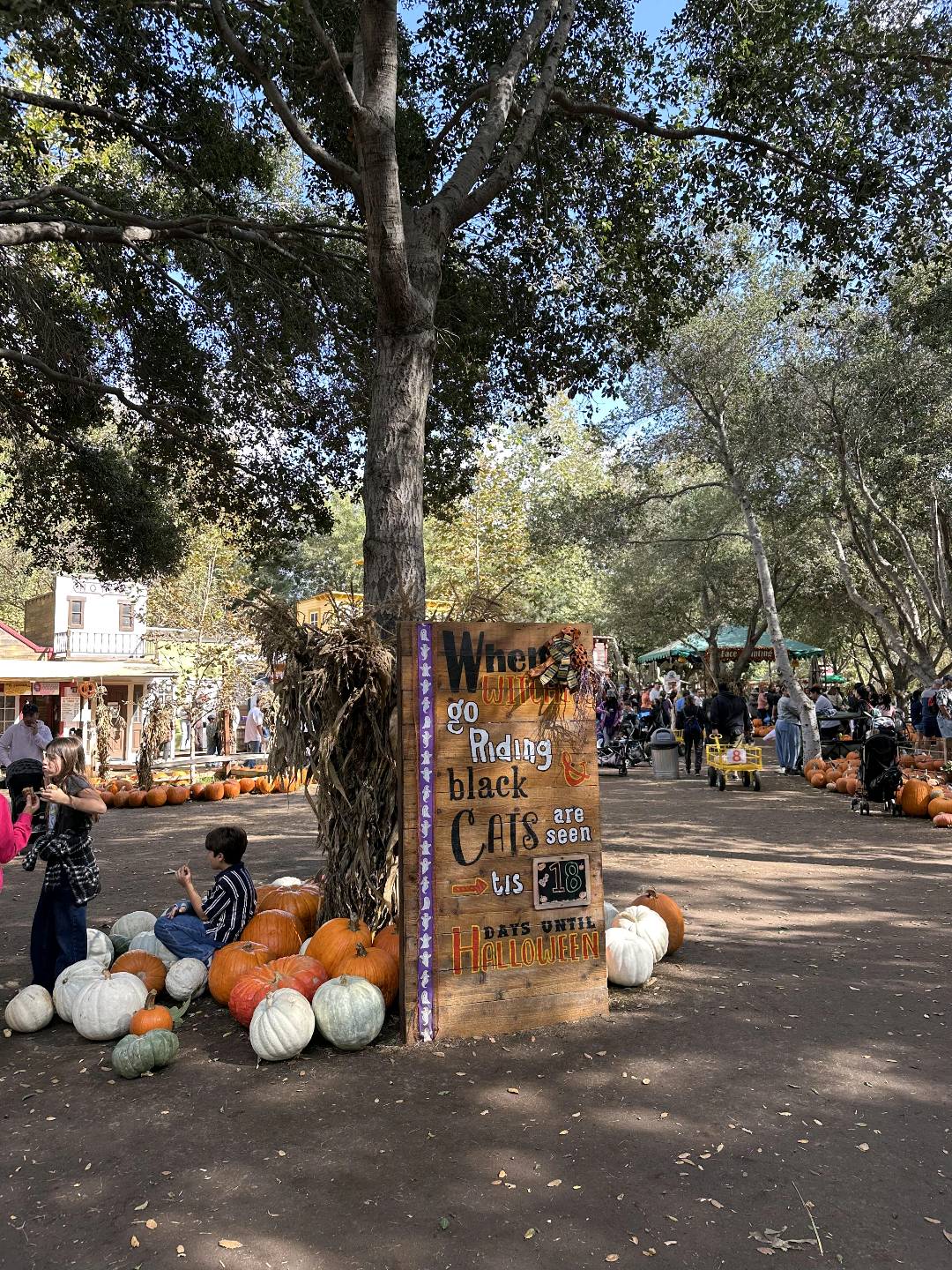 🇺🇸尔湾南瓜节🎃- Irvine Regional 图 5