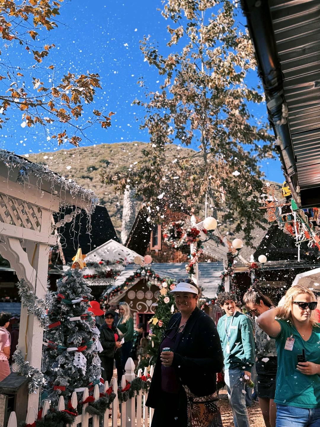 OC🎄最浪漫的圣诞集市Sawdust Art Fest 图 1