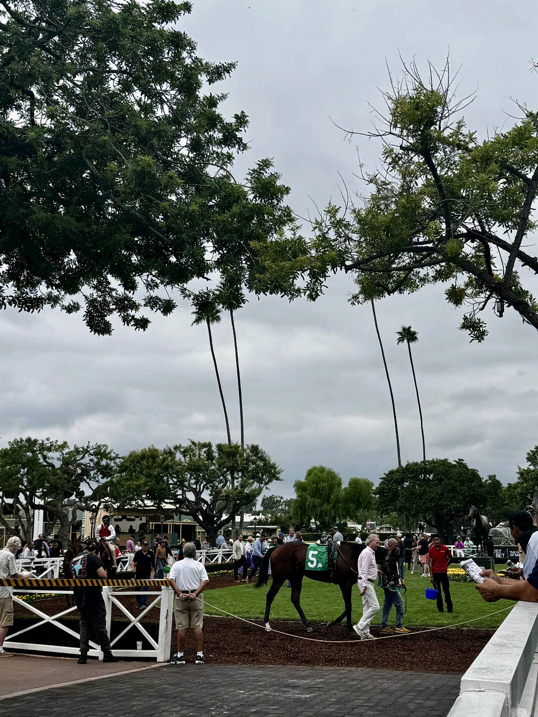 洛杉矶周末好去处之Santa Anita 跑马场 图 4