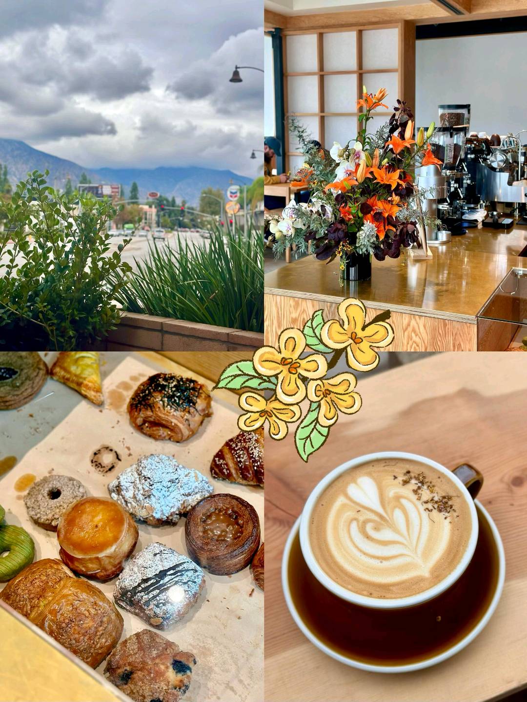 Pasadena著名桂花拿铁🌿☕️新店来Arcadia 图 1