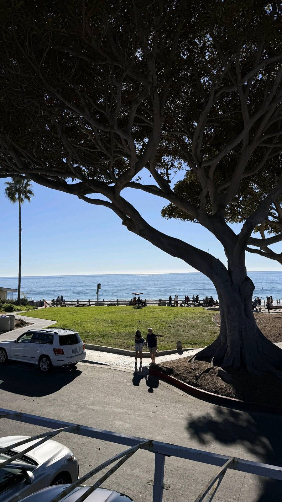 Laguna beach适合看海 吹风的周末好去处 图 3